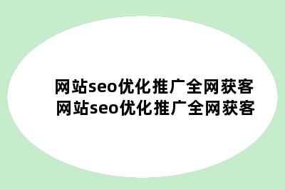 网站seo优化推广全网获客 网站seo优化推广全网获客